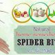 Fast Herbal Remedy for Spider Bite Relief: Natural Fix | The Ultimate Herbal Remedies Guide: Natural Healing for a Healthier Life