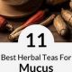 Soothe Your Throat: Herbal Tea for Mucus Relief | The Ultimate Herbal Remedies Guide: Natural Healing for a Healthier Life