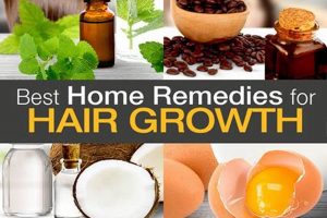 Boost Hair: Herbal Treatment for Hair Growth at Home Tips The Ultimate Herbal Remedies Guide: Natural Healing for a Healthier Life Boost Hair: Herbal Treatment for Hair Growth at Home Tips | The Ultimate Herbal Remedies Guide: Natural Healing for a Healthier Life