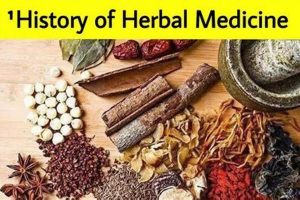 Unveiling the History of Herbal Medicine: Origins & Modern Use The Ultimate Herbal Remedies Guide: Natural Healing for a Healthier Life Unveiling the History of Herbal Medicine: Origins & Modern Use | The Ultimate Herbal Remedies Guide: Natural Healing for a Healthier Life