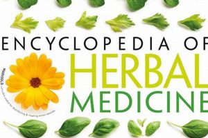 Best Encyclopedia of Herbal Remedies Guide [2024] | The Ultimate Herbal Remedies Guide: Natural Healing for a Healthier Life