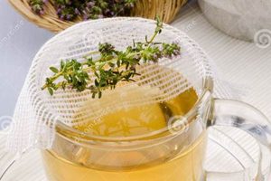 The Power of Thyme Herbal Tea | Benefits & Brew The Ultimate Herbal Remedies Guide: Natural Healing for a Healthier Life The Power of Thyme Herbal Tea | Benefits & Brew | The Ultimate Herbal Remedies Guide: Natural Healing for a Healthier Life