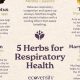 Boost Lungs: Herbal Supplements for Respiratory Health Today! | The Ultimate Herbal Remedies Guide: Natural Healing for a Healthier Life