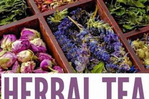 Best Herbal Tea Blends: Benefits & Recipes [Guide] | The Ultimate Herbal Remedies Guide: Natural Healing for a Healthier Life