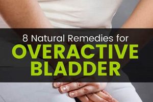 Natural Herbal Remedies for Overactive Bladder + Tips The Ultimate Herbal Remedies Guide: Natural Healing for a Healthier Life Natural Herbal Remedies for Overactive Bladder + Tips | The Ultimate Herbal Remedies Guide: Natural Healing for a Healthier Life