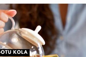 Best Herbal Teas that Boost Energy Naturally! The Ultimate Herbal Remedies Guide: Natural Healing for a Healthier Life Best Herbal Teas that Boost Energy Naturally! | The Ultimate Herbal Remedies Guide: Natural Healing for a Healthier Life