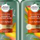 Best Herbal Essences Mango & Aloe Shampoo: Review & Benefits | The Ultimate Herbal Remedies Guide: Natural Healing for a Healthier Life
