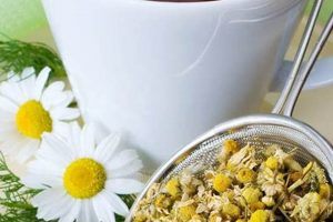 Natural Remedy Herbal Solutions: Your Guide The Ultimate Herbal Remedies Guide: Natural Healing for a Healthier Life Natural Remedy Herbal Solutions: Your Guide | The Ultimate Herbal Remedies Guide: Natural Healing for a Healthier Life
