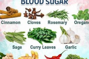 Best Herbal Supplements That Lower Blood Sugar: Guide & Tips The Ultimate Herbal Remedies Guide: Natural Healing for a Healthier Life Best Herbal Supplements That Lower Blood Sugar: Guide & Tips | The Ultimate Herbal Remedies Guide: Natural Healing for a Healthier Life