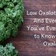 Herbal Tea Truth: Do Herbal Teas Have Oxalates? & Facts | The Ultimate Herbal Remedies Guide: Natural Healing for a Healthier Life
