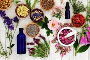 Explore Herbal Medicine Degree: Your Path to Wellness The Ultimate Herbal Remedies Guide: Natural Healing for a Healthier Life Explore Herbal Medicine Degree: Your Path to Wellness | The Ultimate Herbal Remedies Guide: Natural Healing for a Healthier Life