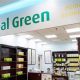 Find Your Herbal Store in Jersey City: Wellness Awaits | The Ultimate Herbal Remedies Guide: Natural Healing for a Healthier Life
