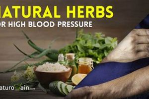 Natural Herbal Hypertension Remedies: Lower Blood Pressure! The Ultimate Herbal Remedies Guide: Natural Healing for a Healthier Life Natural Herbal Hypertension Remedies: Lower Blood Pressure! | The Ultimate Herbal Remedies Guide: Natural Healing for a Healthier Life