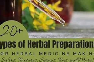 Powerful Medicinal Herbal Recipes: Your Natural Medicine Guide The Ultimate Herbal Remedies Guide: Natural Healing for a Healthier Life Powerful Medicinal Herbal Recipes: Your Natural Medicine Guide | The Ultimate Herbal Remedies Guide: Natural Healing for a Healthier Life