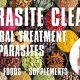 Natural Herbal Treatment for Parasites: Relief &amp; Remedies | The Ultimate Herbal Remedies Guide: Natural Healing for a Healthier Life