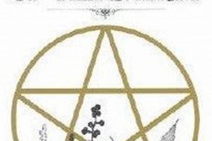 The Best Master Book of Herbalism: Your Guide The Ultimate Herbal Remedies Guide: Natural Healing for a Healthier Life The Best Master Book of Herbalism: Your Guide | The Ultimate Herbal Remedies Guide: Natural Healing for a Healthier Life