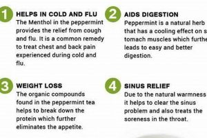 Unlocking Peppermint Herbal Tea Benefits: A Guide + More The Ultimate Herbal Remedies Guide: Natural Healing for a Healthier Life Unlocking Peppermint Herbal Tea Benefits: A Guide + More | The Ultimate Herbal Remedies Guide: Natural Healing for a Healthier Life