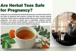 Pregnancy-Safe Herbal Teas: Benefits & Risks Explored The Ultimate Herbal Remedies Guide: Natural Healing for a Healthier Life Pregnancy-Safe Herbal Teas: Benefits & Risks Explored | The Ultimate Herbal Remedies Guide: Natural Healing for a Healthier Life