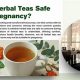 Pregnancy-Safe Herbal Teas: Benefits & Risks Explored | The Ultimate Herbal Remedies Guide: Natural Healing for a Healthier Life