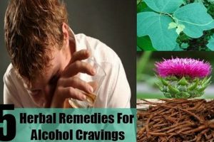 Natural Herbal Remedies to Stop Drinking Alcohol Today The Ultimate Herbal Remedies Guide: Natural Healing for a Healthier Life Natural Herbal Remedies to Stop Drinking Alcohol Today | The Ultimate Herbal Remedies Guide: Natural Healing for a Healthier Life