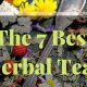 Natural Herbal Teas for Sleeplessness: Benefits &amp; More | The Ultimate Herbal Remedies Guide: Natural Healing for a Healthier Life