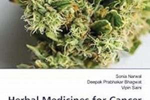 Natural Cancer Herbal Treatment: Does It Work? The Ultimate Herbal Remedies Guide: Natural Healing for a Healthier Life Natural Cancer Herbal Treatment: Does It Work? | The Ultimate Herbal Remedies Guide: Natural Healing for a Healthier Life