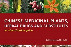 Unlocking Chinese Herbal Medicinal Plants: Benefits & Uses The Ultimate Herbal Remedies Guide: Natural Healing for a Healthier Life Unlocking Chinese Herbal Medicinal Plants: Benefits & Uses | The Ultimate Herbal Remedies Guide: Natural Healing for a Healthier Life