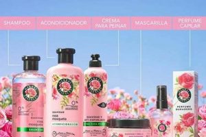 Natural Rosa Mosqueta Herbal Essences: Benefits & Uses The Ultimate Herbal Remedies Guide: Natural Healing for a Healthier Life Natural Rosa Mosqueta Herbal Essences: Benefits & Uses | The Ultimate Herbal Remedies Guide: Natural Healing for a Healthier Life