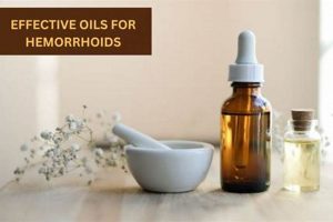 Find Relief: Best Herbal Remedies for Hemorrhoids Today The Ultimate Herbal Remedies Guide: Natural Healing for a Healthier Life Find Relief: Best Herbal Remedies for Hemorrhoids Today | The Ultimate Herbal Remedies Guide: Natural Healing for a Healthier Life