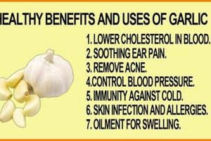 Unlock Garlic Herbal Benefits: Your Guide + More The Ultimate Herbal Remedies Guide: Natural Healing for a Healthier Life Unlock Garlic Herbal Benefits: Your Guide + More | The Ultimate Herbal Remedies Guide: Natural Healing for a Healthier Life