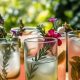 Best Non Alcoholic Herbal Drinks: Healthy Elixirs | The Ultimate Herbal Remedies Guide: Natural Healing for a Healthier Life