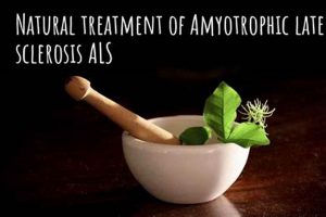 Exploring Herbal Treatment for ALS: Options & Aid The Ultimate Herbal Remedies Guide: Natural Healing for a Healthier Life Exploring Herbal Treatment for ALS: Options & Aid | The Ultimate Herbal Remedies Guide: Natural Healing for a Healthier Life