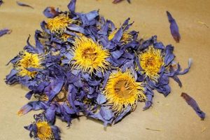 Shop Healing Herbals Store Online - [Your Brand] | The Ultimate Herbal Remedies Guide: Natural Healing for a Healthier Life