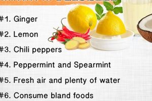 Best Herbal Remedies for Nausea: Relief & Tips The Ultimate Herbal Remedies Guide: Natural Healing for a Healthier Life Best Herbal Remedies for Nausea: Relief & Tips | The Ultimate Herbal Remedies Guide: Natural Healing for a Healthier Life
