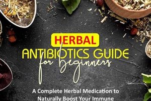 Natural Herbal Antibiotics: Guide & Benefits The Ultimate Herbal Remedies Guide: Natural Healing for a Healthier Life Natural Herbal Antibiotics: Guide & Benefits | The Ultimate Herbal Remedies Guide: Natural Healing for a Healthier Life