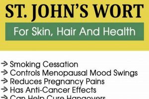 Discover St. John's Wort Herbal Benefits + Uses Today! The Ultimate Herbal Remedies Guide: Natural Healing for a Healthier Life Discover St. John's Wort Herbal Benefits + Uses Today! | The Ultimate Herbal Remedies Guide: Natural Healing for a Healthier Life