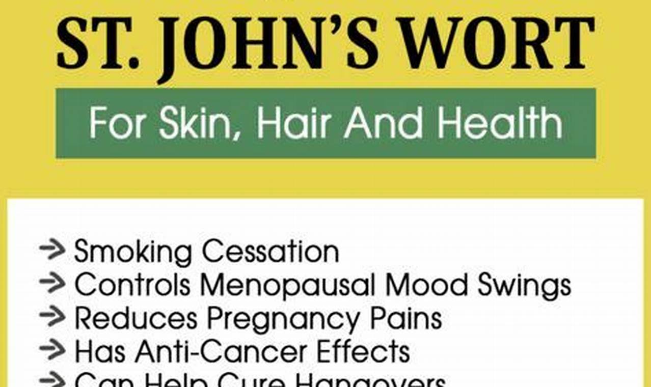 Discover St. John's Wort Herbal Benefits + Uses Today! The Ultimate Herbal Remedies Guide: Natural Healing for a Healthier Life Discover St. John's Wort Herbal Benefits + Uses Today! | The Ultimate Herbal Remedies Guide: Natural Healing for a Healthier Life