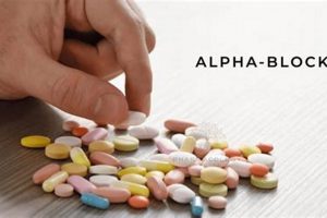 Natural Herbal Alpha Blockers: Benefits & Risks Explored The Ultimate Herbal Remedies Guide: Natural Healing for a Healthier Life Natural Herbal Alpha Blockers: Benefits & Risks Explored | The Ultimate Herbal Remedies Guide: Natural Healing for a Healthier Life