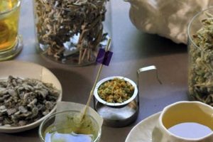 Unlock Longevity: Ikarian Herbal Tea Benefits & Brew The Ultimate Herbal Remedies Guide: Natural Healing for a Healthier Life Unlock Longevity: Ikarian Herbal Tea Benefits & Brew | The Ultimate Herbal Remedies Guide: Natural Healing for a Healthier Life