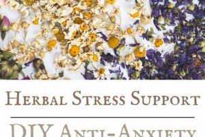 Calm With Herbals: Natural Herbal Anxiety Relief The Ultimate Herbal Remedies Guide: Natural Healing for a Healthier Life Calm With Herbals: Natural Herbal Anxiety Relief | The Ultimate Herbal Remedies Guide: Natural Healing for a Healthier Life