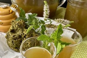 Best Herbal Tea for Irritable Bowel Syndrome: Relief + Tips The Ultimate Herbal Remedies Guide: Natural Healing for a Healthier Life Best Herbal Tea for Irritable Bowel Syndrome: Relief + Tips | The Ultimate Herbal Remedies Guide: Natural Healing for a Healthier Life
