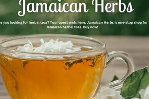 Discover Jamaican Herbal Tea: Benefits & Brews The Ultimate Herbal Remedies Guide: Natural Healing for a Healthier Life Discover Jamaican Herbal Tea: Benefits & Brews | The Ultimate Herbal Remedies Guide: Natural Healing for a Healthier Life