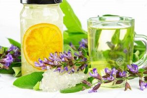 The Sweet Herbal Guide: Uses, Benefits & More The Ultimate Herbal Remedies Guide: Natural Healing for a Healthier Life The Sweet Herbal Guide: Uses, Benefits & More | The Ultimate Herbal Remedies Guide: Natural Healing for a Healthier Life