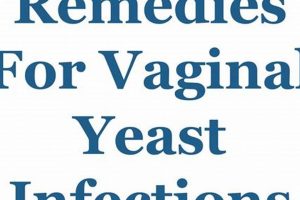 Natural Herbal Remedies for Yeast Infection Relief Guide The Ultimate Herbal Remedies Guide: Natural Healing for a Healthier Life Natural Herbal Remedies for Yeast Infection Relief Guide | The Ultimate Herbal Remedies Guide: Natural Healing for a Healthier Life