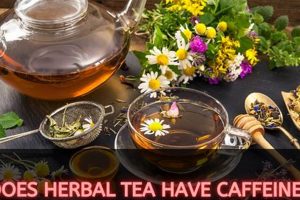 Caffeine in Herbal Tea: Is It Really Caffeine-Free? The Ultimate Herbal Remedies Guide: Natural Healing for a Healthier Life Caffeine in Herbal Tea: Is It Really Caffeine-Free? | The Ultimate Herbal Remedies Guide: Natural Healing for a Healthier Life