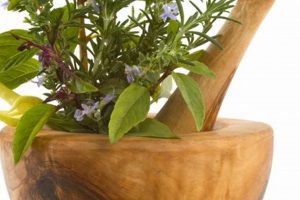 Find Your Herbal Store in Atlanta, GA: Natural Remedies The Ultimate Herbal Remedies Guide: Natural Healing for a Healthier Life Find Your Herbal Store in Atlanta, GA: Natural Remedies | The Ultimate Herbal Remedies Guide: Natural Healing for a Healthier Life
