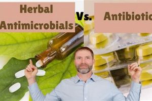 Natural Herbal Antimicrobials for SIBO: Benefits & Uses The Ultimate Herbal Remedies Guide: Natural Healing for a Healthier Life Natural Herbal Antimicrobials for SIBO: Benefits & Uses | The Ultimate Herbal Remedies Guide: Natural Healing for a Healthier Life