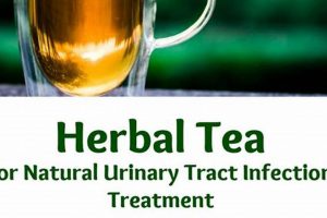 Natural Tea for Urine Infection Relief + Recipes The Ultimate Herbal Remedies Guide: Natural Healing for a Healthier Life Natural Tea for Urine Infection Relief + Recipes | The Ultimate Herbal Remedies Guide: Natural Healing for a Healthier Life