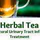 Natural Tea for Urine Infection Relief + Recipes | The Ultimate Herbal Remedies Guide: Natural Healing for a Healthier Life