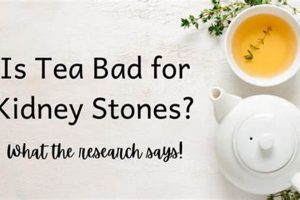 Tea Time: Is Herbal Tea Bad for Kidney Stones? Risks & Facts The Ultimate Herbal Remedies Guide: Natural Healing for a Healthier Life Tea Time: Is Herbal Tea Bad for Kidney Stones? Risks & Facts | The Ultimate Herbal Remedies Guide: Natural Healing for a Healthier Life